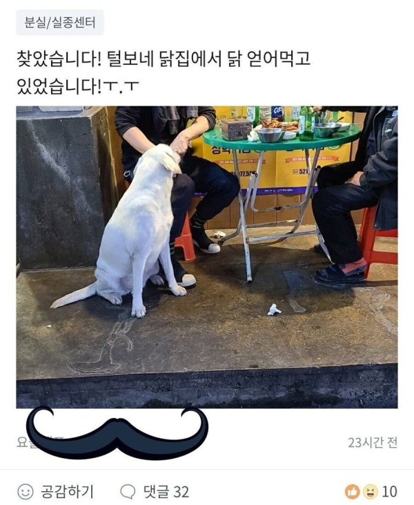 잃어버린 개를 찾는법