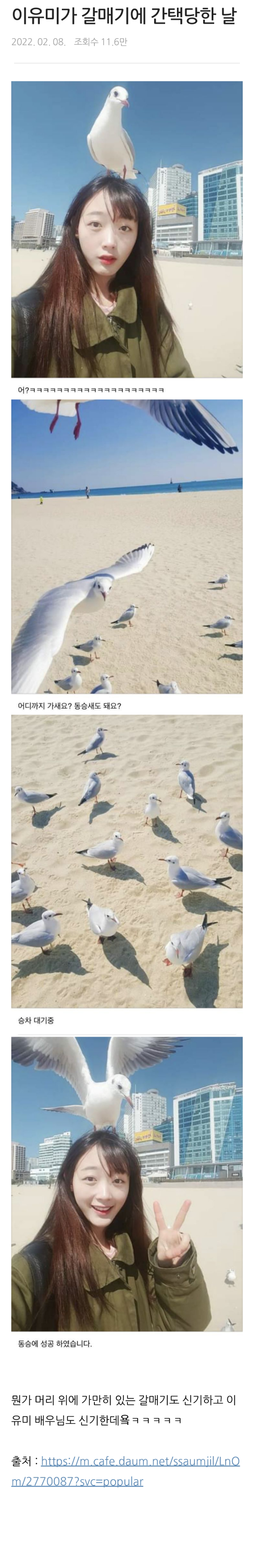 간택의 종류