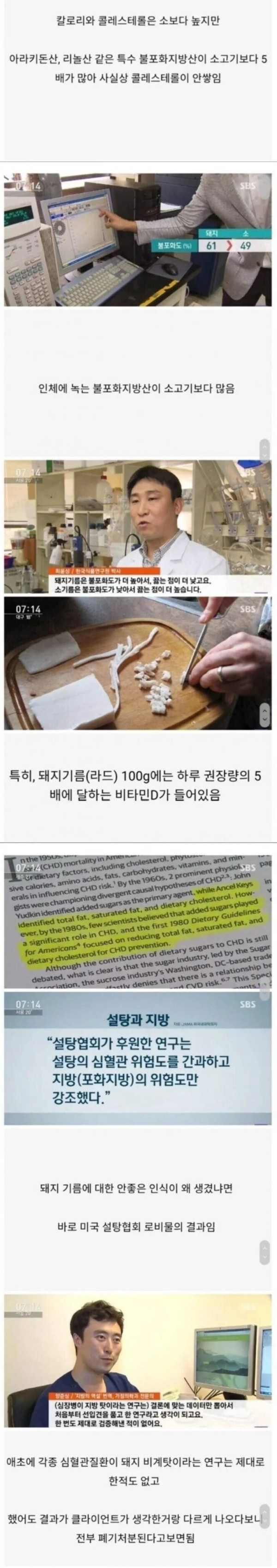 돼지기름 누명 벗다.