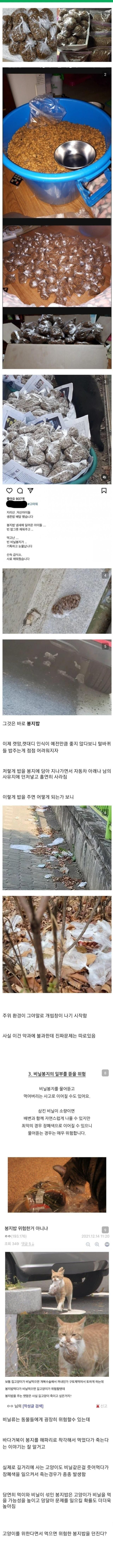 캣맘들의 수류탄투척 전술